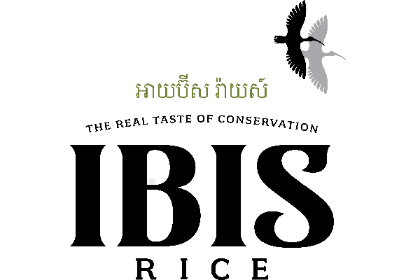 IBIS Rice
