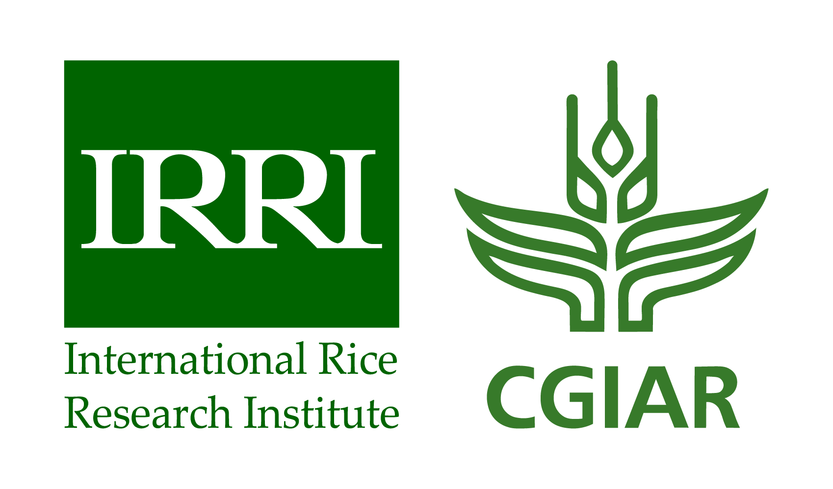 IRRI-Logo-bandaid-05
